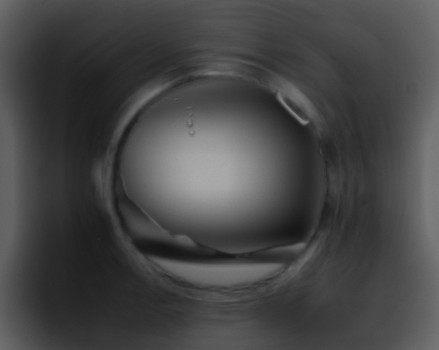 X0000095671138200801081203