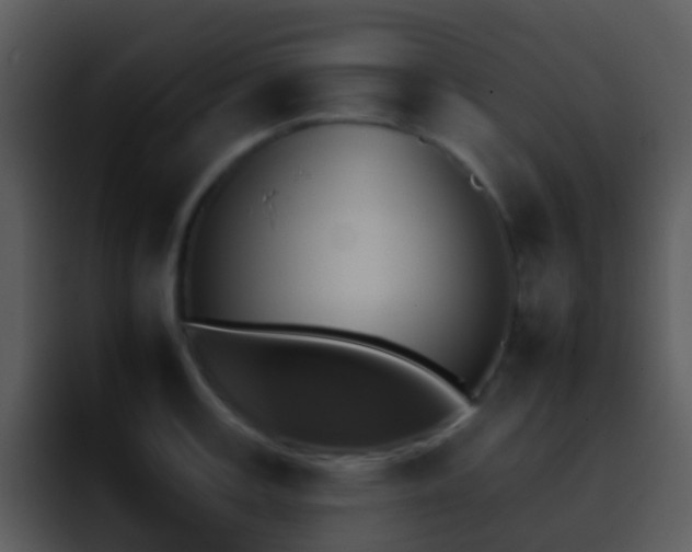 X0000095671139200801081203