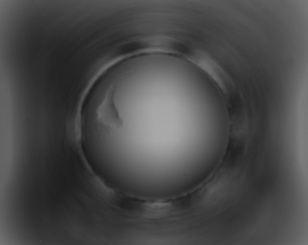 X0000095671140200801081203