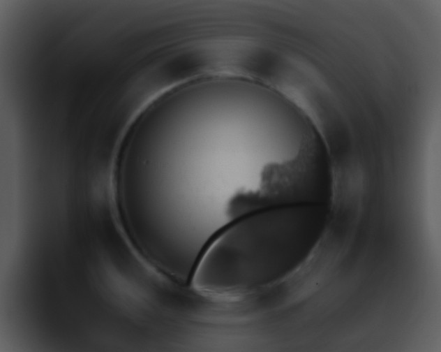 X0000095671141200801081203