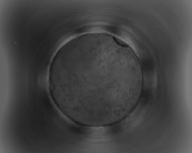X0000095671142200801081203