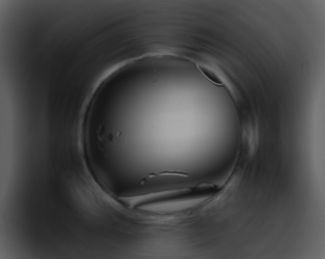 X0000095671143200801081203