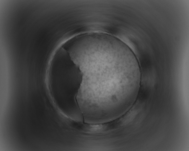 X0000095671144200801081203