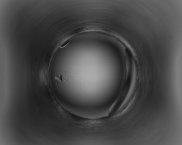 X0000095671145200801081203