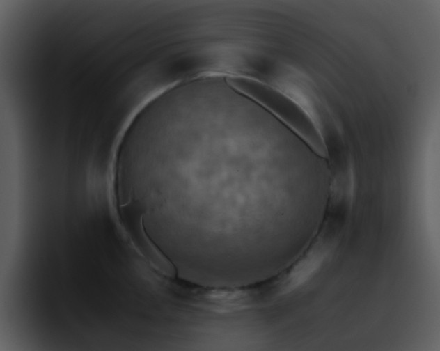 X0000095671146200801081203