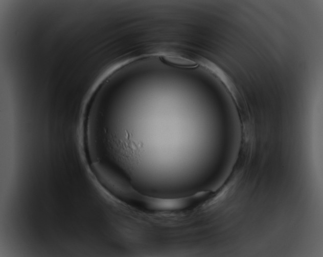 X0000095671147200801081203