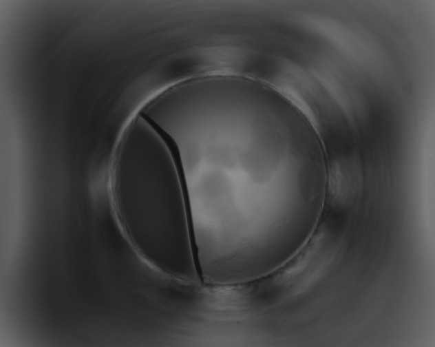 X0000095671149200801081203