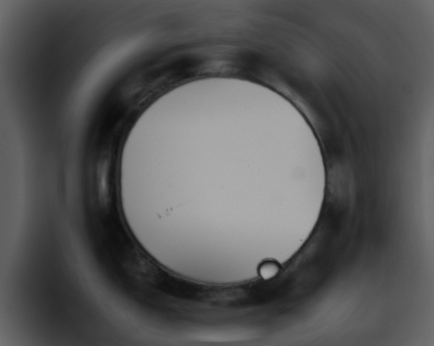 X0000095671150200801081203