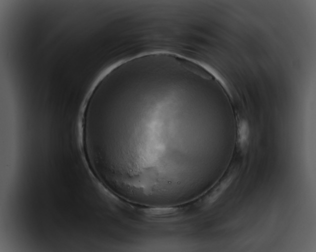 X0000095671151200801081203