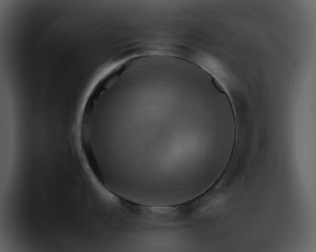 X0000095671152200801081203