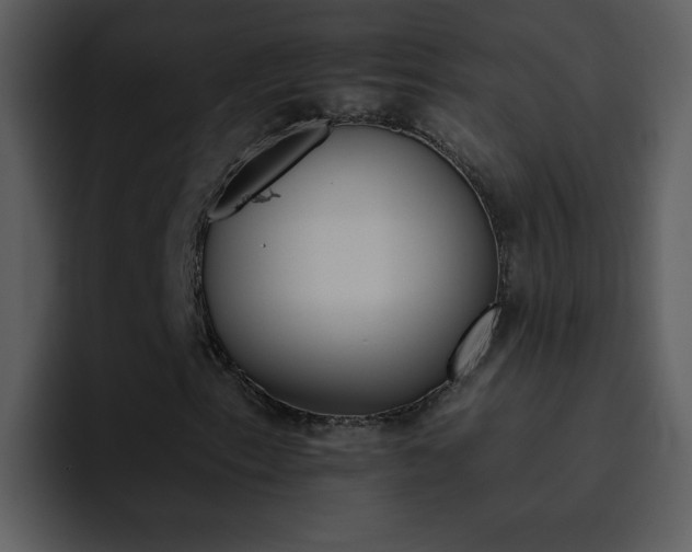 X0000095671153200801081203