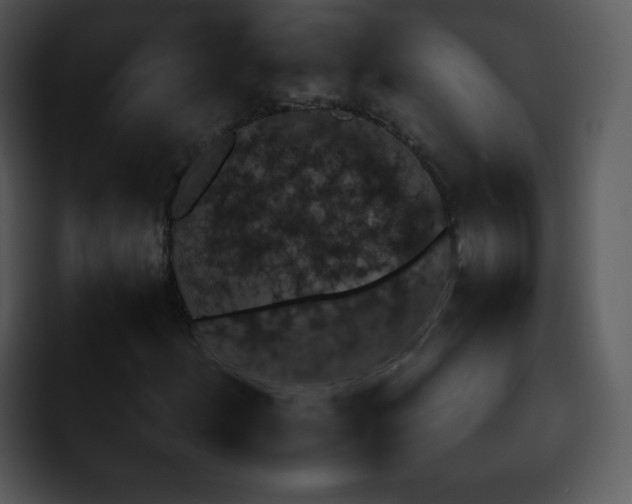 X0000095671156200801081203