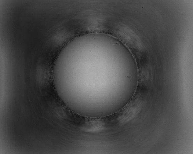 X0000095671157200801081203