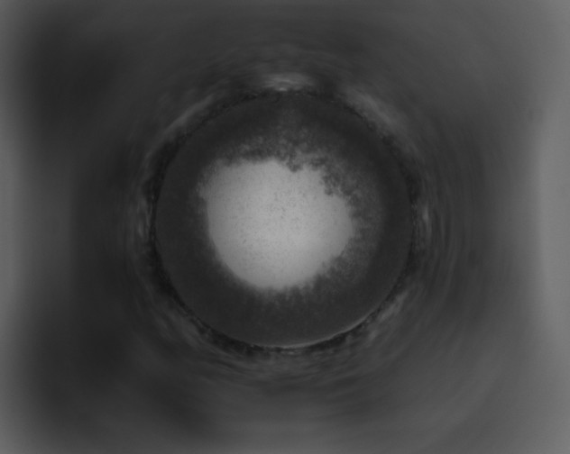 X0000095671158200801081203