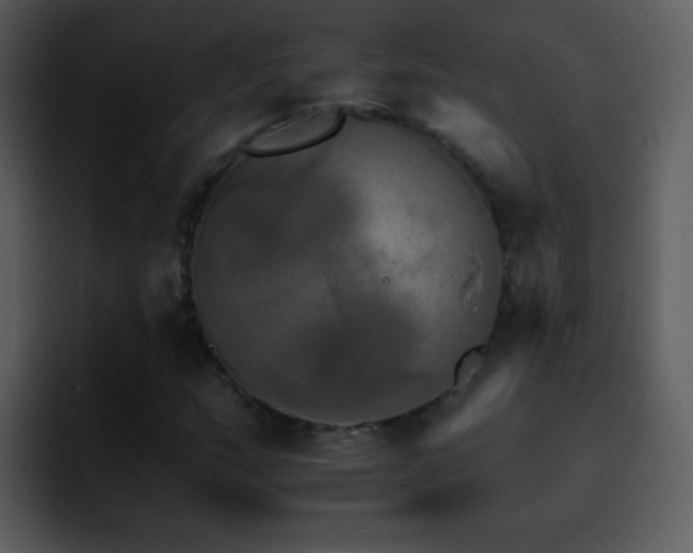 X0000095671159200801081203
