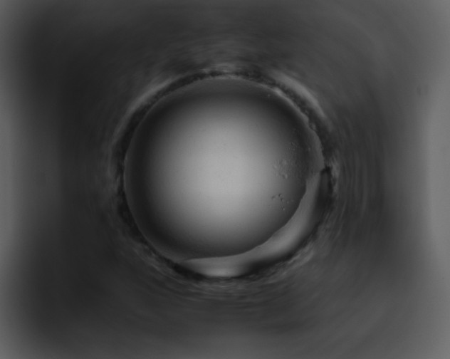 X0000095671160200801081203