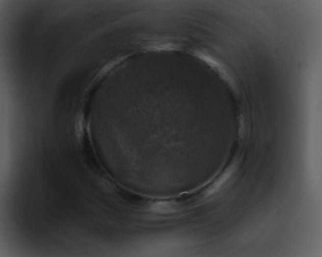 X0000095671161200801081203