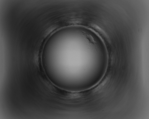 X0000095671162200801081203