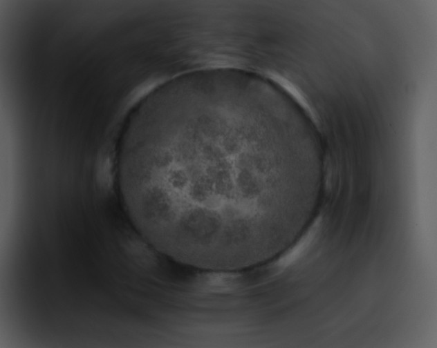 X0000095671163200801081203