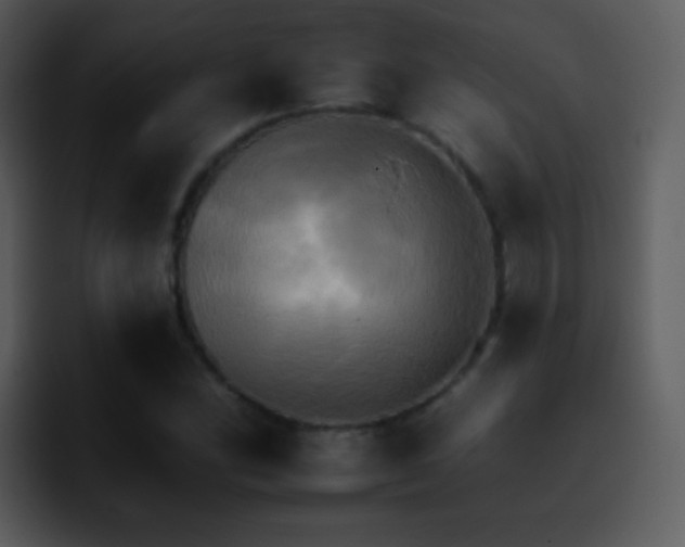 X0000095671164200801081203