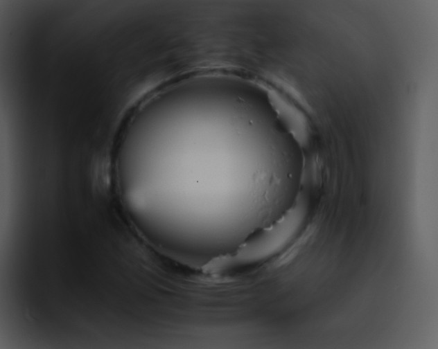 X0000095671165200801081203