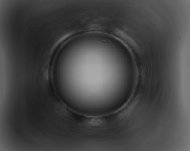X0000095671166200801081203
