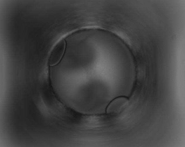 X0000095671167200801081203