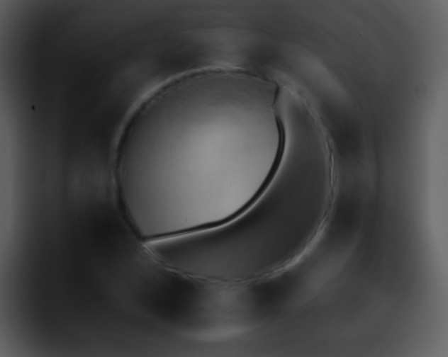 X0000095671168200801081203