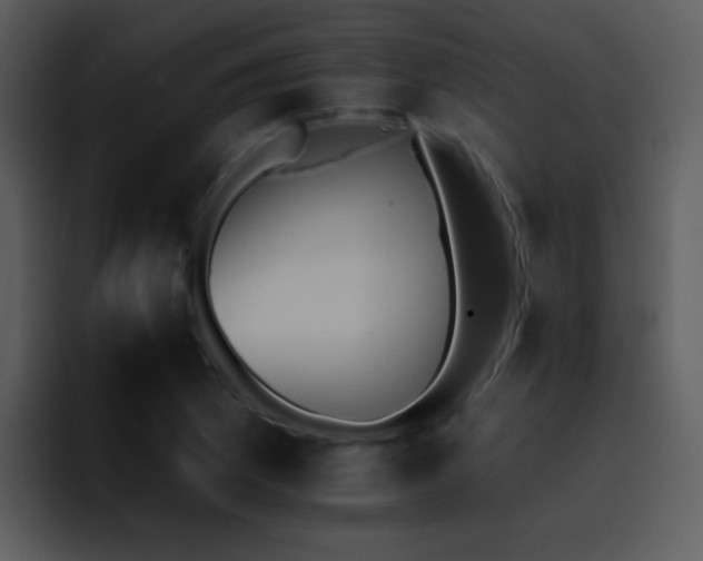 X0000095671169200801081203
