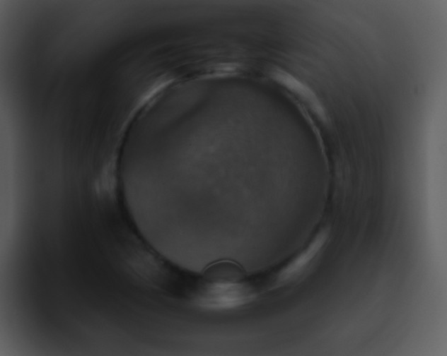 X0000095671170200801081203