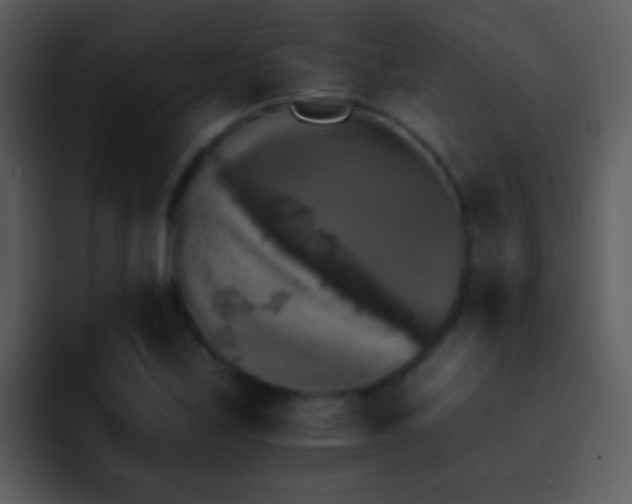 X0000095671171200801081203