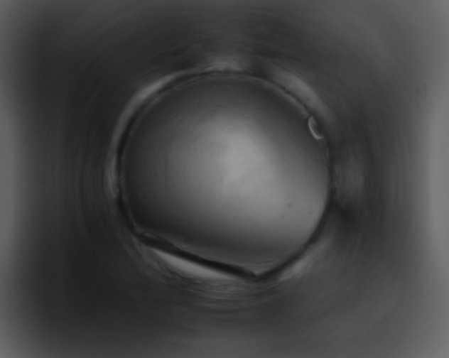 X0000095671172200801081202