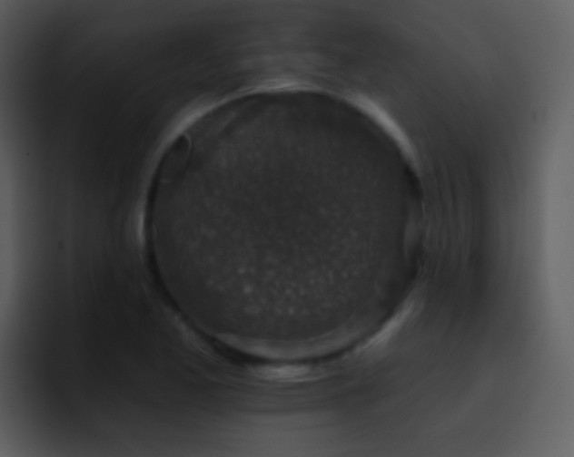 X0000095671173200801081202