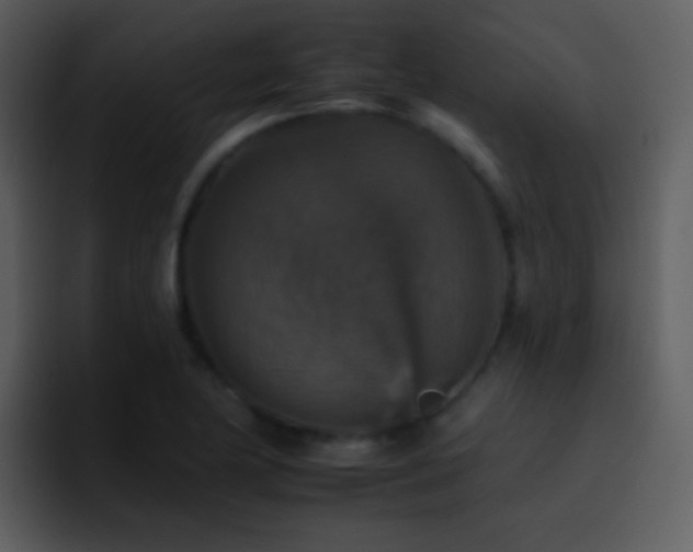 X0000095671174200801081202