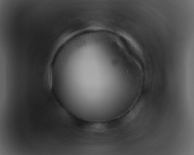X0000095671175200801081202