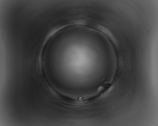 X0000095671176200801081202