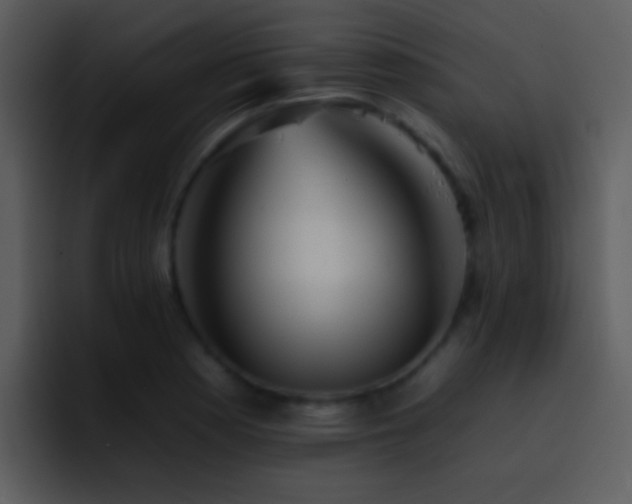 X0000095671177200801081202