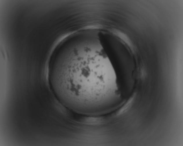 X0000095671179200801081202