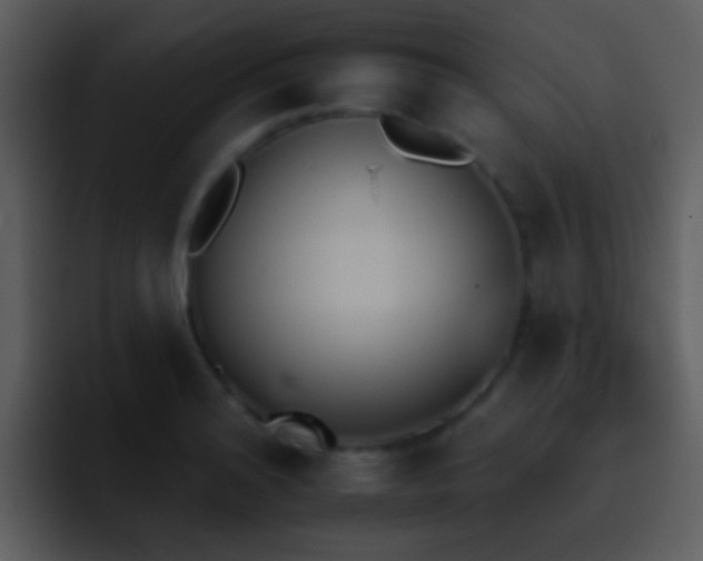 X0000095671180200801081202