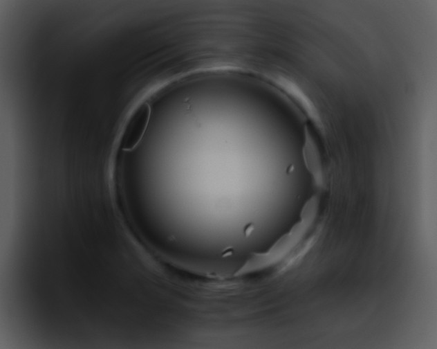X0000095671181200801081202