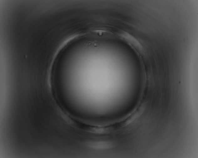 X0000095671182200801081202