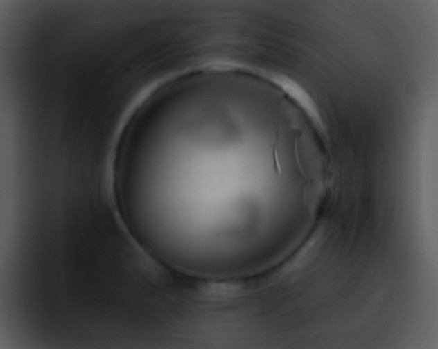 X0000095671183200801081202