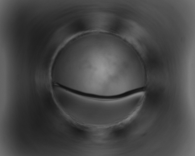 X0000095671184200801081202