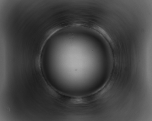 X0000095671186200801081202