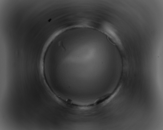 X0000095671188200801081202