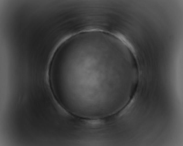 X0000095671189200801081202