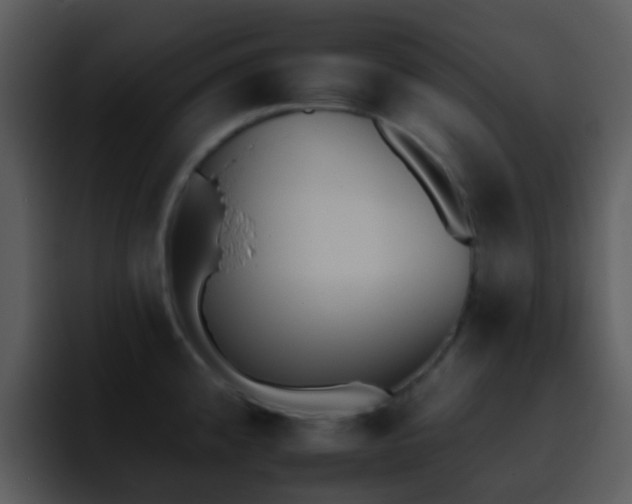 X0000095671192200801081202