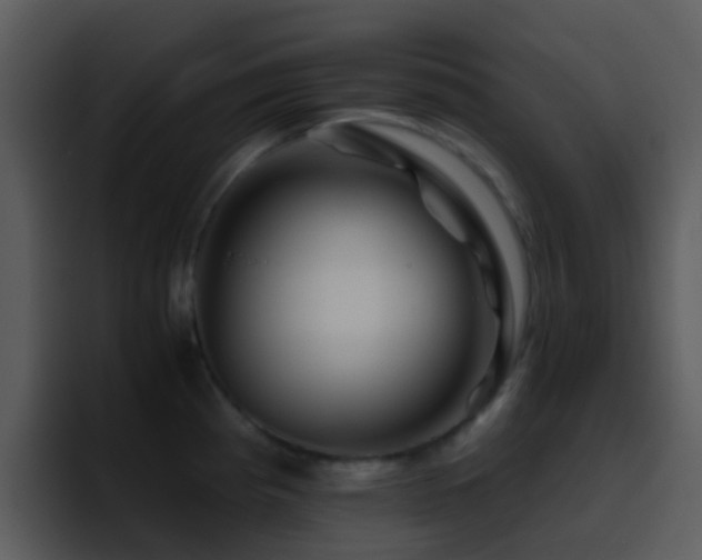 X0000095671193200801081202
