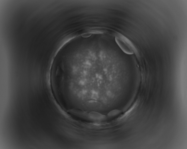 X0000095671194200801081202