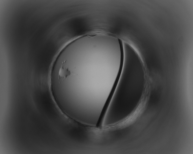 X0000095671195200801081202